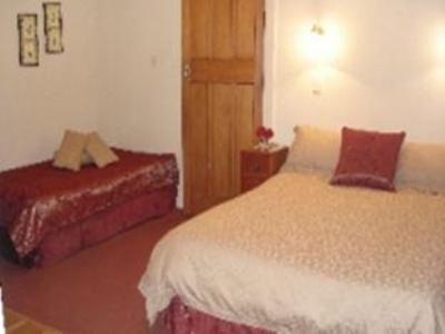 Homelea Bed And Breakfast Christchurch Luaran gambar
